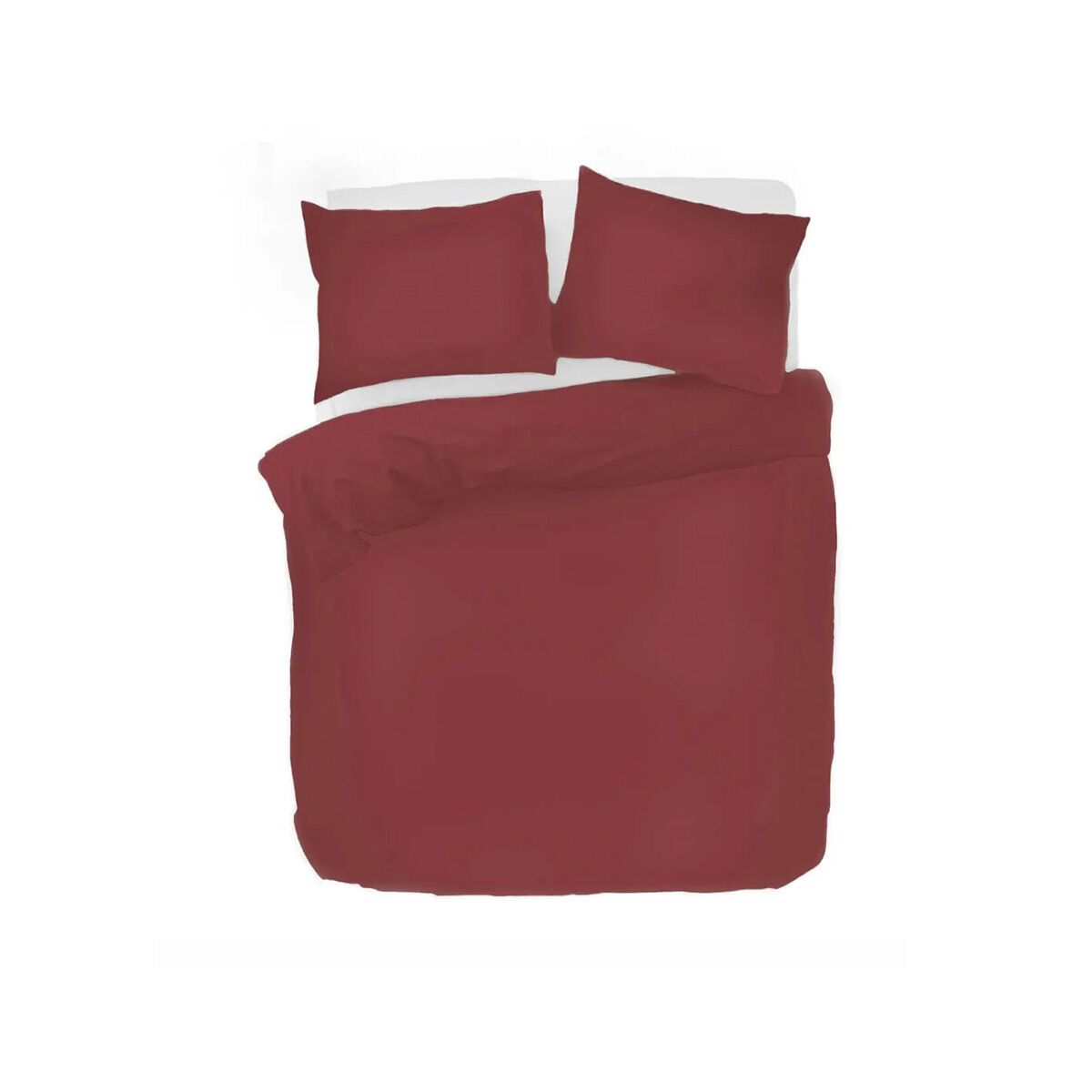 Kayori-Giza-Paslakanset-Rod kayori