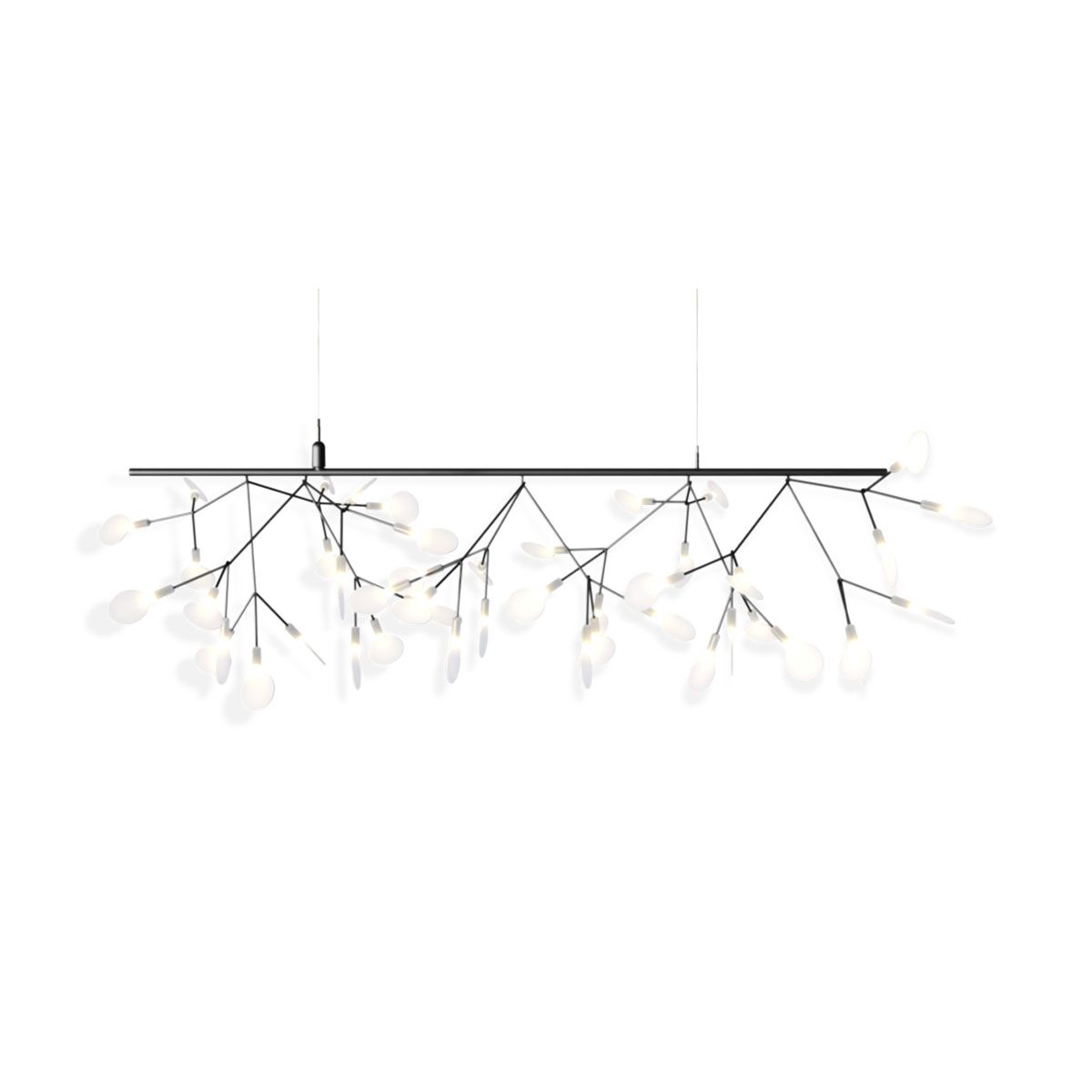 Heracleum III Endless